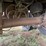 2019-aulick-48ft-semi-live-bottom-belt-trailer-image-34