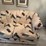 loveseat-image-5