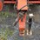hesston-5585-image-18