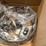 brand-new,-unused-unopened-light-fixture,-modern-style,-see-photos-image-6