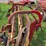 new-holland-57-image-11