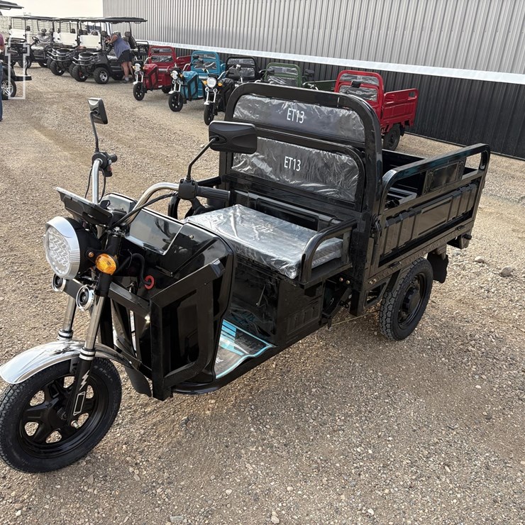 2026 IRET13 ELECTRIC TRICYCLE (#7) 8195