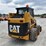 caterpillar-246-image-16