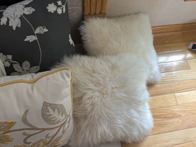 (5)-decorative-pillows-image-5