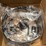 brand-new,-unused-unopened-light-fixture,-modern-style,-see-photos-image-2