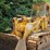 1989-caterpillar-963-image-7