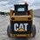 caterpillar-246-image-5