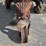 silver-king-tractor-(not-running)-105-image-16