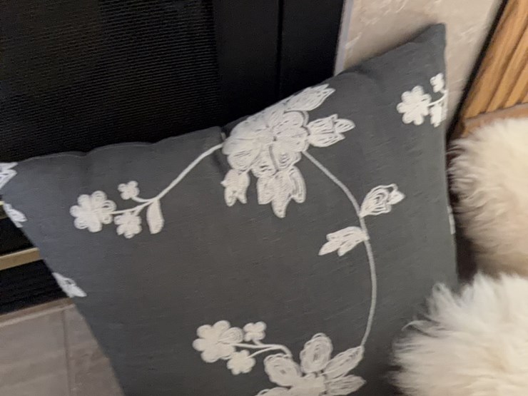 (5)-decorative-pillows-image-7