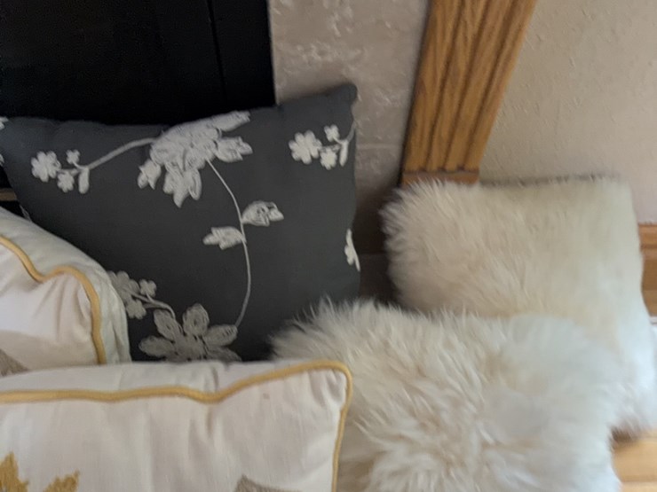 (5)-decorative-pillows-image-6