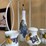 glassware-collection-image-2