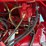 2005-case-ih-2377-image-22
