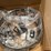 brand-new,-unused-unopened-light-fixture,-modern-style,-see-photos-image-5