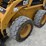 caterpillar-246-image-25