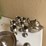 silver-items,-silver-set-image-8