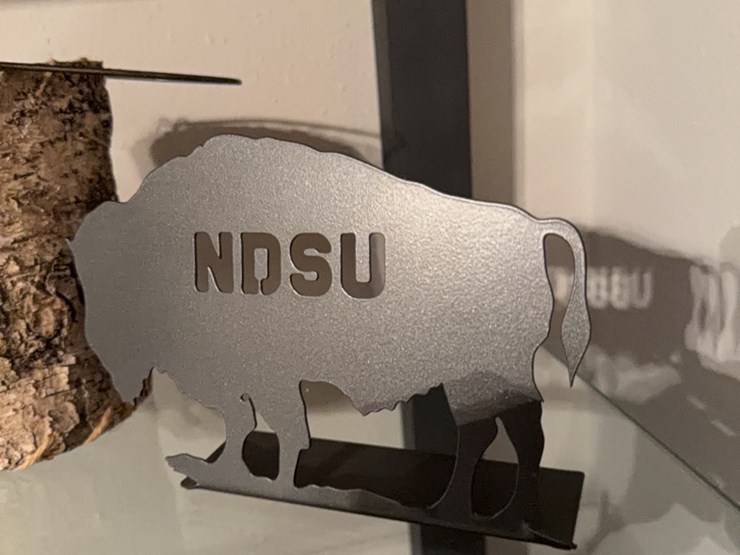 ndsu-buffalo,-and-other-items-image-4