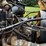 cat-c11-image-11