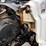 cat-c11-image-12