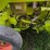claas-rollant-250rc-image-25