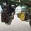 john-deere-7000-image-16