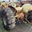 massey-ferguson-20-image-3