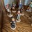 all-are-goebel-west-germany-pieces-(12-pieces)-image-3