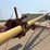 westfield-10”-x-62ft-auger-image-5