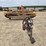 new-holland-499-image-2