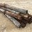 #3615-•-bundle-of-used-round-posts-image-3