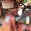 #300-•-1951-farmall-m-tractor-image-36