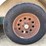 #103-•-1998-trailet-2-horse-trailer-with-overnight-package-(has-wi-title)-image-100