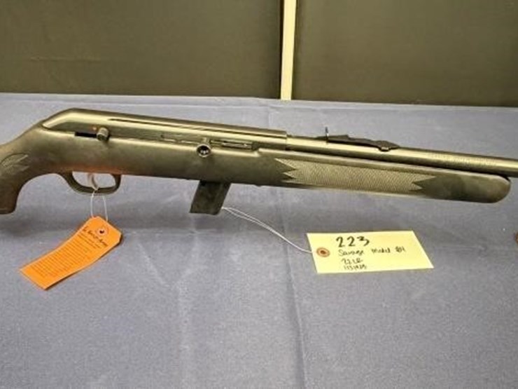 gs---savage-model-64-.22lr-image-2