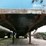 great-dane-53-image-3
