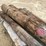 #3615-•-bundle-of-used-round-posts-image-10