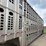 2010-wilson-livestock-image-16