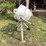 #5730-•-tool-shop-cement-mixer-image-3