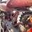 #300-•-1951-farmall-m-tractor-image-32