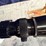 gs---leopold-scope-image-2