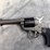 gs---ruger-wrangler-.22lr-revolver-image-3