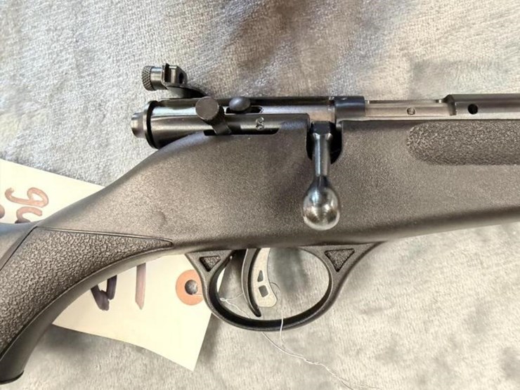 gs---savage-arms-savage-rascal-image-4