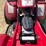 #1227-•-polaris-250-atv-(sells-with-bill-of-sale-only)-image-33