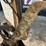 2015-bobcat-e50-image-11
