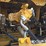 2019-caterpillar-336-image-40