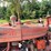 #300-•-1951-farmall-m-tractor-image-15