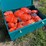 #142-•-ratchet-tie-down-&-flatpack-tool-box-image-3