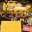 2019-caterpillar-336-image-59