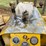 #1218-•-atc-25-terratrac-atc-25-bulldozer-image-15
