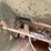 #3579-•-wood-chuck-bedding-spreader-bucket-attachment-image-17