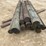 #3616-•-bundle-of-used-round-posts-image-5