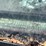 #207-•-1996-cheverloet-silverado-1500-(has-wi-title)-image-103